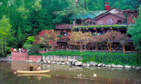 SB_Alternate_©Photo by David Sievert shadowbrook_creek-2