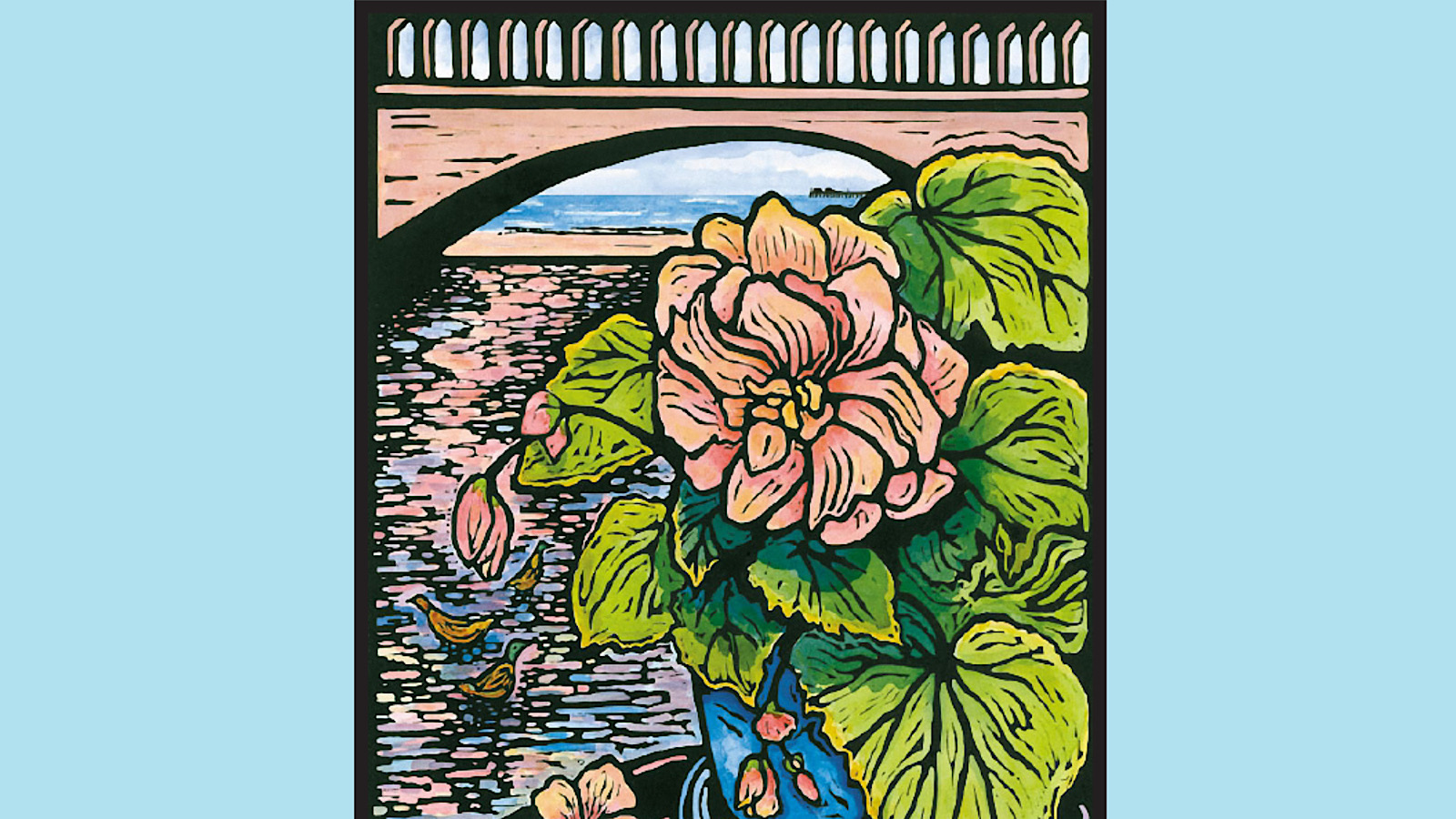 Begonia