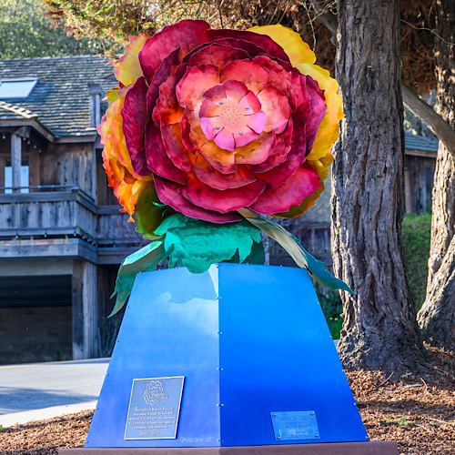 A Blooming Tribute: Begonia Festival Art Installation