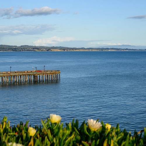 August in Capitola Village: Soak Up The Rays of Summer