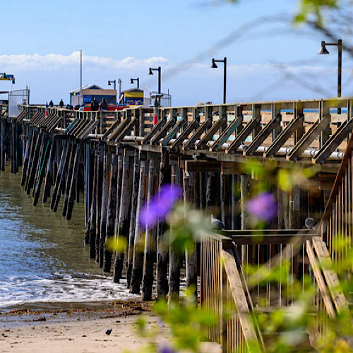 From Sunrise Coffee to Sunset Cocktails: Your Capitola Village Foodie Weekend