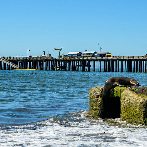 Fall in Capitola: Summer’s Encore