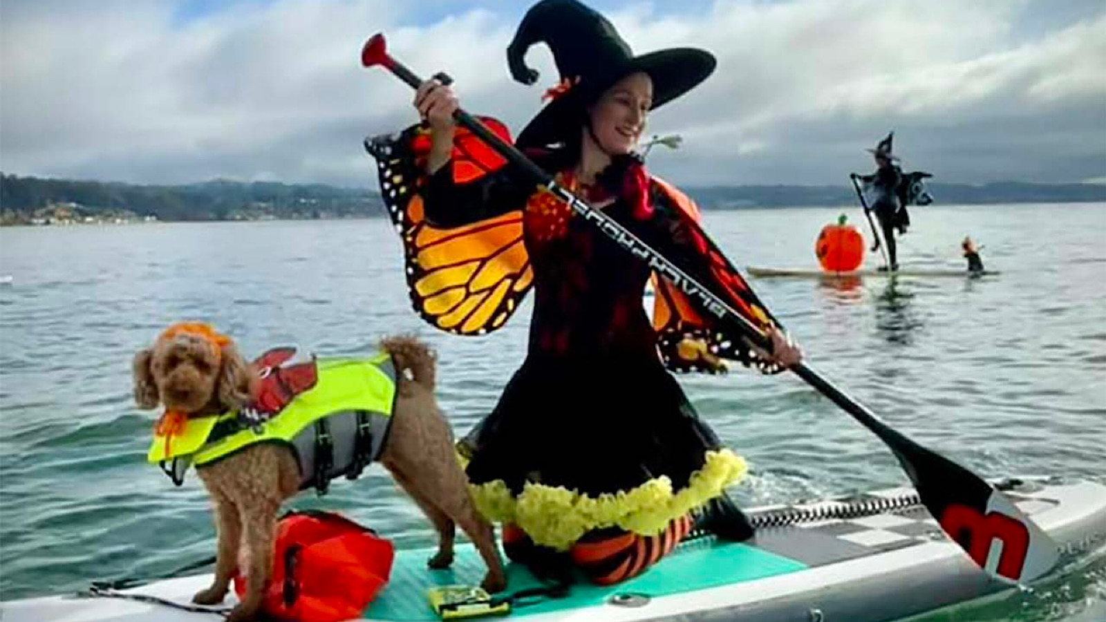 Sea Witch