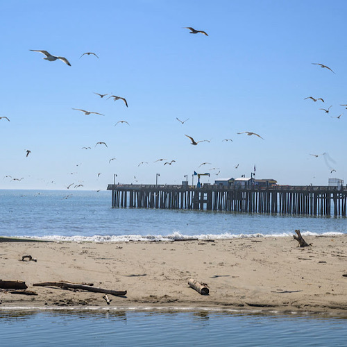 Make the Most of Summer Before It Ends: Your August Guide to Capitola Village